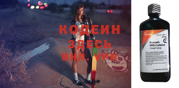 эйфоретик Гусь-Хрустальный
