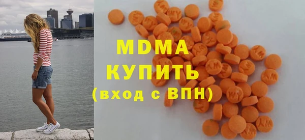 эйфоретик Гусь-Хрустальный