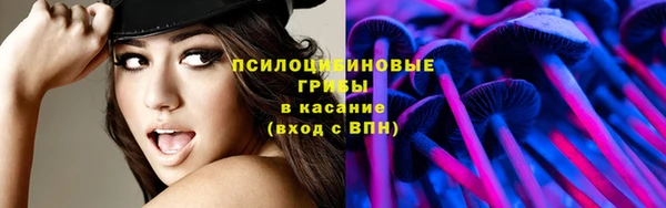 эйфоретик Гусь-Хрустальный