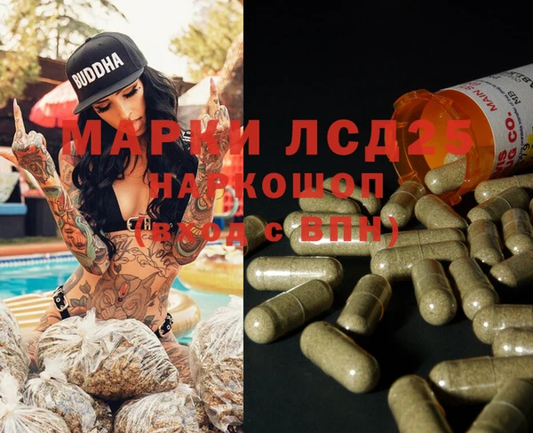 эйфоретик Гусь-Хрустальный