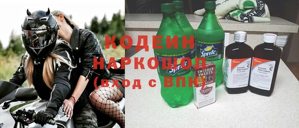 эйфоретик Гусь-Хрустальный