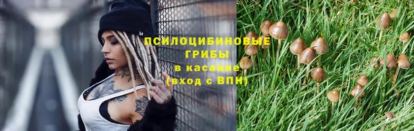 эйфоретик Гусь-Хрустальный