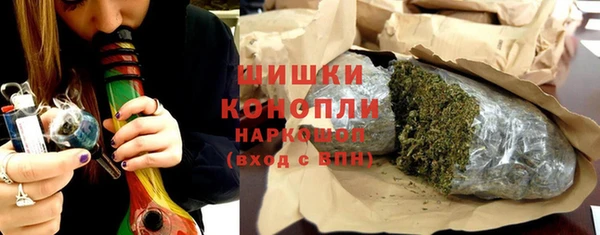эйфоретик Гусь-Хрустальный